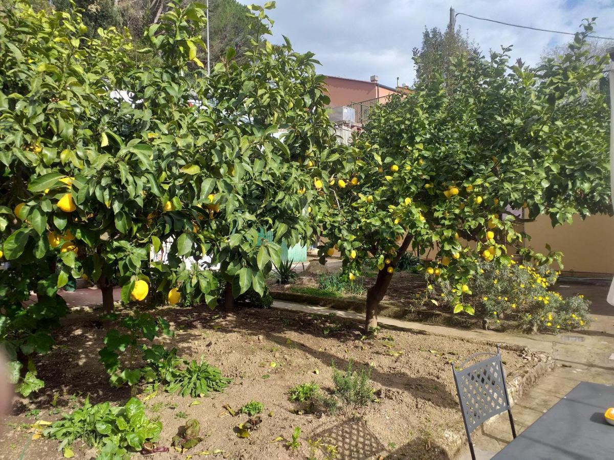 מונטרוסו אל מארה Affittacamere Antonella מראה חיצוני תמונה